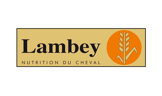 logo Lambey